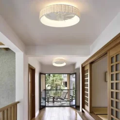 Rattan Ceiling Fan with Light 50cm 19.66in Ceiling Fan Light APP Control for Timed Six Speed Embedded Ceiling Fan with Light AC110V AC220V