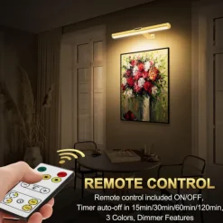 Rechargeable Picture Light with Remote, Dimmable Wireless Battery Painting Light, Art Light Display Lamp with Dimmable Timer, Picture Light for Picture Gallery Dart 30/40cm