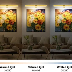 Rechargeable Picture Light with Remote, Dimmable Wireless Battery Painting Light, Art Light Display Lamp with Dimmable Timer, Picture Light for Picture Gallery Dart 30/40cm