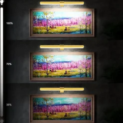 Rechargeable Picture Light with Remote, Dimmable Wireless Battery Painting Light, Art Light Display Lamp with Dimmable Timer, Picture Light for Picture Gallery Dart 30/40cm