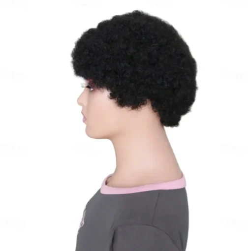 Remy Human Hair Wig Afro Curly Side Part Natural Designers African American Wig Capless Chinese Hair Women's Black 6 inch Party Party Evening Party / Evening