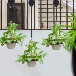 Retractable Hanging Plant Potted Telescopic Hook Garden Orchid Pots Pulley Pull Down Hanger Bird Cage Free Wheeling Lifting Hook