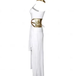 Retro Vintage Ancient Greek Ancient Rome Dress Cosplay Costume Outfits Venus Greek Goddesses Fancy Dress Women's Walpurgis Night Halloween Carnival Party Bachelorette Party Adults Dress