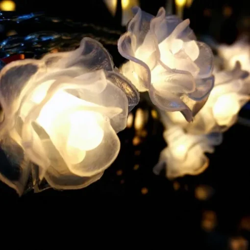 Rose String Lights, 1.5m, 3m, 6m, 10/20/40 LEDs - Warm White Multi-Color Battery Powered Decorative Lights for Valentines Wedding & New Year's Outdoor Parties