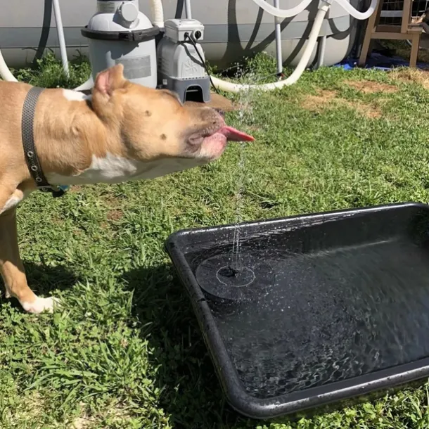 Round Solar Fountain Outdoor Landscape Pool Pond Water Pump Waterfall Decor Black