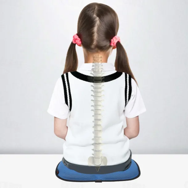 Seat Cushions Office Chair Pad,car Gel Seat Cushion for Back Pain Relief, Long Sitting for Computer Desk, Wheelchair with Non-Slip Cover
