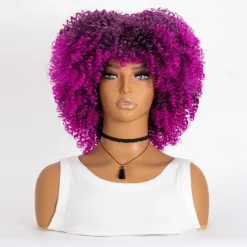 Short Curly Afro Wigs with Bangs for Black Women Brown Afro Kinky Curly Wigs for Black Women Synthetic Heat Resistant Fluffy Brown Wigs Halloween Cosplay Party Wigs