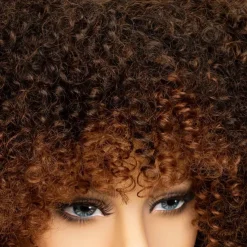Short Curly Afro Wigs with Bangs for Black Women Brown Afro Kinky Curly Wigs for Black Women Synthetic Heat Resistant Fluffy Brown Wigs Halloween Cosplay Party Wigs