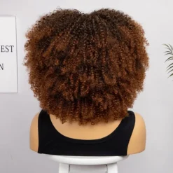 Short Curly Afro Wigs with Bangs for Black Women Brown Afro Kinky Curly Wigs for Black Women Synthetic Heat Resistant Fluffy Brown Wigs Halloween Cosplay Party Wigs