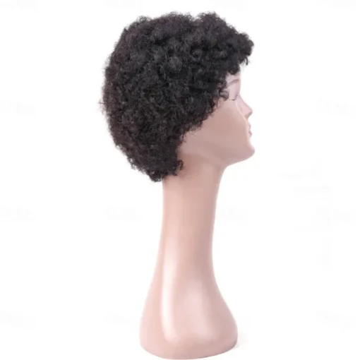 Short Curly Human Hair Wig Afro Kinky Curly African Style For Black Women Non Lace Remy Curly Wig Full Machine Made Wig
