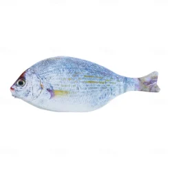 Simulation Fish-Shaped Pencil Case Pencil Bag Waterproof Pencil Bag Fish Coin Purse Novelty Pencil Bag Interesting Pencil Bag Durable Stationery Bag Gift Boys Girls School Office Supplies
