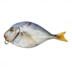 Simulation Fish-Shaped Pencil Case Pencil Bag Waterproof Pencil Bag Fish Coin Purse Novelty Pencil Bag Interesting Pencil Bag Durable Stationery Bag Gift Boys Girls School Office Supplies