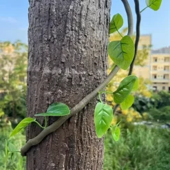 Soft Rubber Faux Tree Bark Roll Versatile, Cut-to-Size for DIY Home Decor, Wall & Column Covering - Available in Multiple Sizes