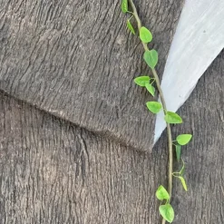 Soft Rubber Faux Tree Bark Roll Versatile, Cut-to-Size for DIY Home Decor, Wall & Column Covering - Available in Multiple Sizes