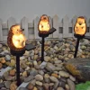 Solar Lamp Outdoor Garden Lamp Imitation Animal Solar Night Lamp Hedgehog Resin Landscape Channel Spotlight LED Pile Lamp Garden Garden Lawn Lawn Lamp 1PC