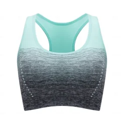 Sports Bra Hollow Mesh Back Sports Bra Fitness Yoga Vest Shockproof Yoga Bra Without Steel Ring