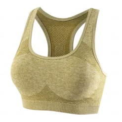 Sports Bra Hollow Mesh Back Sports Bra Fitness Yoga Vest Shockproof Yoga Bra Without Steel Ring