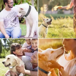 Upgrade Touch Screen Anti Bark Dog Collar IP67 Waterproof Rechargeable Electric Shock Vibration Beep No Barking Auto Training Collar For Dogs