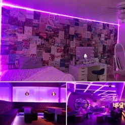 UV Purple LED Light Strip Kit - 5-10M Flexible 12V Warm White Tape Light Black Light for Party, Bar & Decoration
