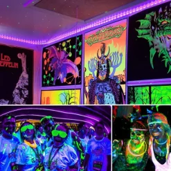 UV Purple LED Light Strip Kit - 5-10M Flexible 12V Warm White Tape Light Black Light for Party, Bar & Decoration