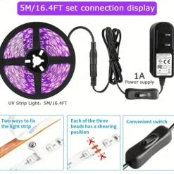UV Purple LED Light Strip Kit - 5-10M Flexible 12V Warm White Tape Light Black Light for Party, Bar & Decoration