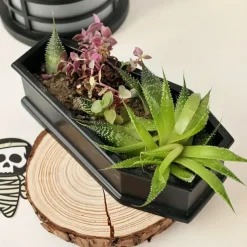 Versatile Gothic Coffin Planter Box for Succulents, Candy & Jewelry Storage - Perfect for Halloween & Easter Decor Indoor/Outdoor Use