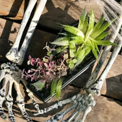 Versatile Gothic Coffin Planter Box for Succulents, Candy & Jewelry Storage - Perfect for Halloween & Easter Decor Indoor/Outdoor Use