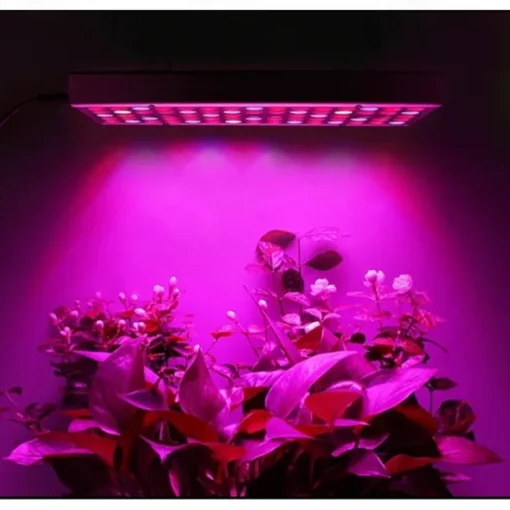 25W Full Spectrum LED Grow Light - Black Light SMD2835 Phytolamp with UV & IR for Indoor Plant Growing & Flowering (EU/US/UK/AU Plug)