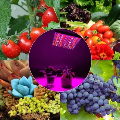 25W Full Spectrum LED Grow Light - Black Light SMD2835 Phytolamp with UV & IR for Indoor Plant Growing & Flowering (EU/US/UK/AU Plug)
