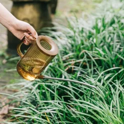 Watering Can For Indoor Plants With Long Spout, Watering Can Indoor, Small Watering Can For Indoor Plants, Flowers, Succulents, 33.82oz
