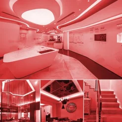 Waterproof Flexible LED Neon Strip Light with Power 12V Outdoor Silicone Rope 5 m 16.4 ft 600 SMD Pool Light Strip Suitable for Signature Bar Home Kitchen Bedroom Party Christmas Decorations