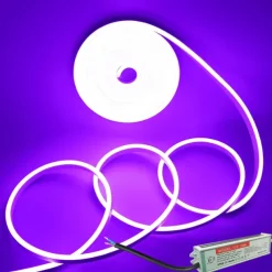 Waterproof Flexible LED Neon Strip Light with Power 12V Outdoor Silicone Rope 5 m 16.4 ft 600 SMD Pool Light Strip Suitable for Signature Bar Home Kitchen Bedroom Party Christmas Decorations