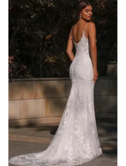 Wedding Dresses Mermaid / Trumpet V Neck Spaghetti Strap Sleeveless Court Train Lace Bridal Gowns With Embroidery Appliques