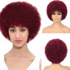 Wig 70s Afro Wigs for Black Women Afro Puff Wigs Bouncy and Soft Natural Looking Full Wigs for Daily Party Cosplay Costume Halloween Wigs