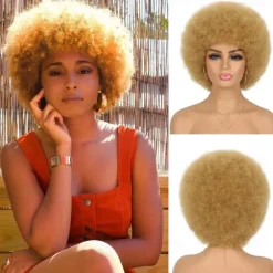 Wig 70s Afro Wigs for Black Women Afro Puff Wigs Bouncy and Soft Natural Looking Full Wigs for Daily Party Cosplay Costume Halloween Wigs