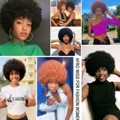 Wig 70s Afro Wigs for Black Women Afro Puff Wigs Bouncy and Soft Natural Looking Full Wigs for Daily Party Cosplay Costume Halloween Wigs