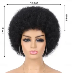 Wig 70s Afro Wigs for Black Women Afro Puff Wigs Bouncy and Soft Natural Looking Full Wigs for Daily Party Cosplay Costume Halloween Wigs