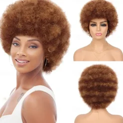 Wig 70s Afro Wigs for Black Women Afro Puff Wigs Bouncy and Soft Natural Looking Full Wigs for Daily Party Cosplay Costume Halloween Wigs