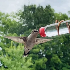 Window Hummingbird Feeder Window Mount Hummingbird Feeder Water Drinker Outdoor Garden Yard Decor