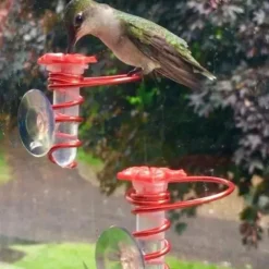 Window Hummingbird Feeder Window Mount Hummingbird Feeder Water Drinker Outdoor Garden Yard Decor