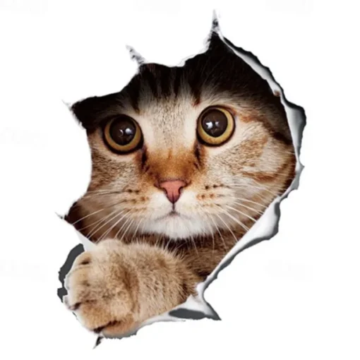 Winston & Bear 3D Cat Stickers - 2 Pack - Black Cat Wall Decals - Cat Wall Stickers for Bedroom - Fridge - Toilet - Car - Retail Packaged