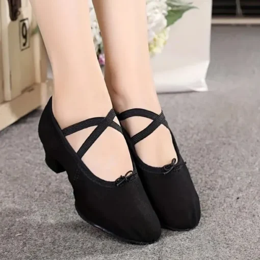 Women's Ballet Shoes Performance Party Evening Heel Cuban Heel Elastic Adults' Black White Pink