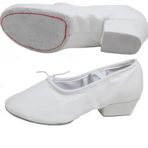 Women's Ballet Shoes Performance Party Evening Heel Cuban Heel Elastic Adults' Black White Pink