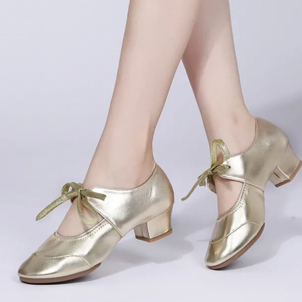 Women's Ballroom Dance Shoes Modern Dance Shoes Practice Heel Solid Color Cuban Heel Silver Black White