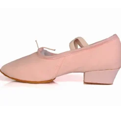 Women's Canvas Ballroom Dance Shoes with Low Heel and Suede Sole - Ideal for Latin Dance, Soft Sole Dance Shoes for Performance