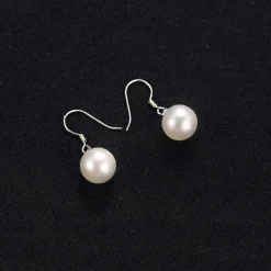 Women's Earrings Fancy Joy Stylish Luxury Earrings Jewelry Silver For Party