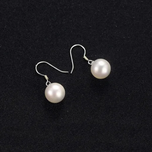 Women's Earrings Fancy Joy Stylish Luxury Earrings Jewelry Silver For Party