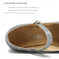 Women's Glitter Ballroom Dance Shoes – Silver Sparkly Mary Jane Heels with Adjustable Strap for Latin Tango Performance