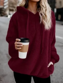 Women's Hoodie Sweatshirt Casual Sherpa Plain Street Dailywear Hoodie Zipper Pocket Long Sleeve Wine Brown Green Fall Winter