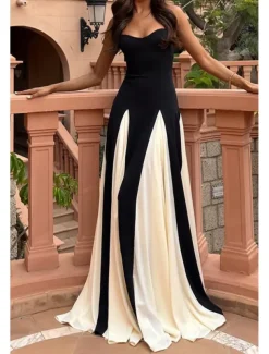 Women's Long Dress Maxi Dress Cocktail Dress Slip Dress Elegant Fashion Tea Party Going out Weekend Regular Fit Color Block Sleeveless Spaghetti Strap Black Summer